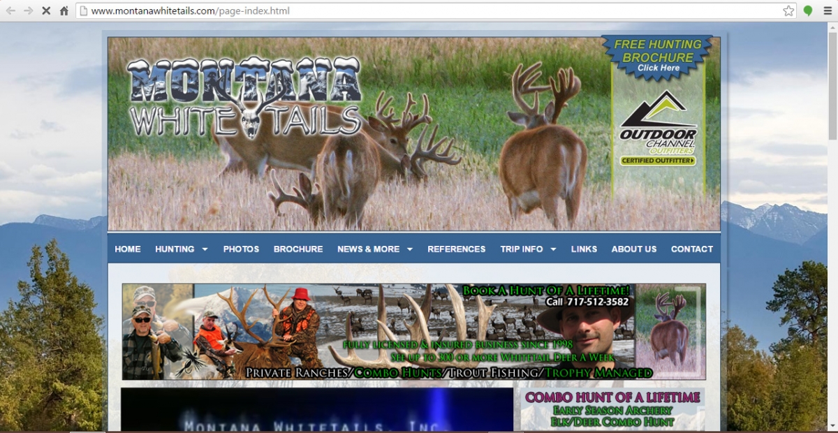Wilsall, Montana Hunting Web Design
