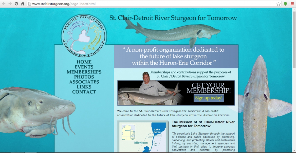Mount Clemens, Michigan Fishing Web Design