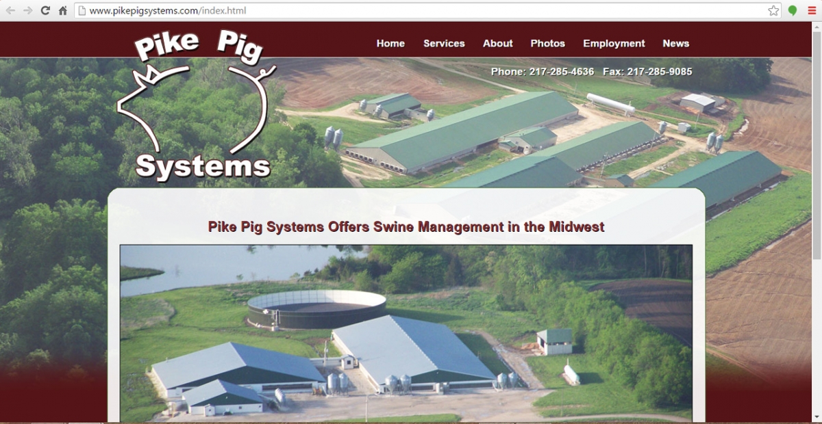Pittsfield, Illinois Farm Web Design