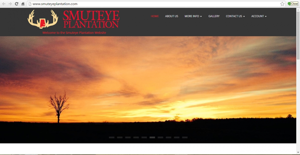 Banks, Alabama Hunting Web Design