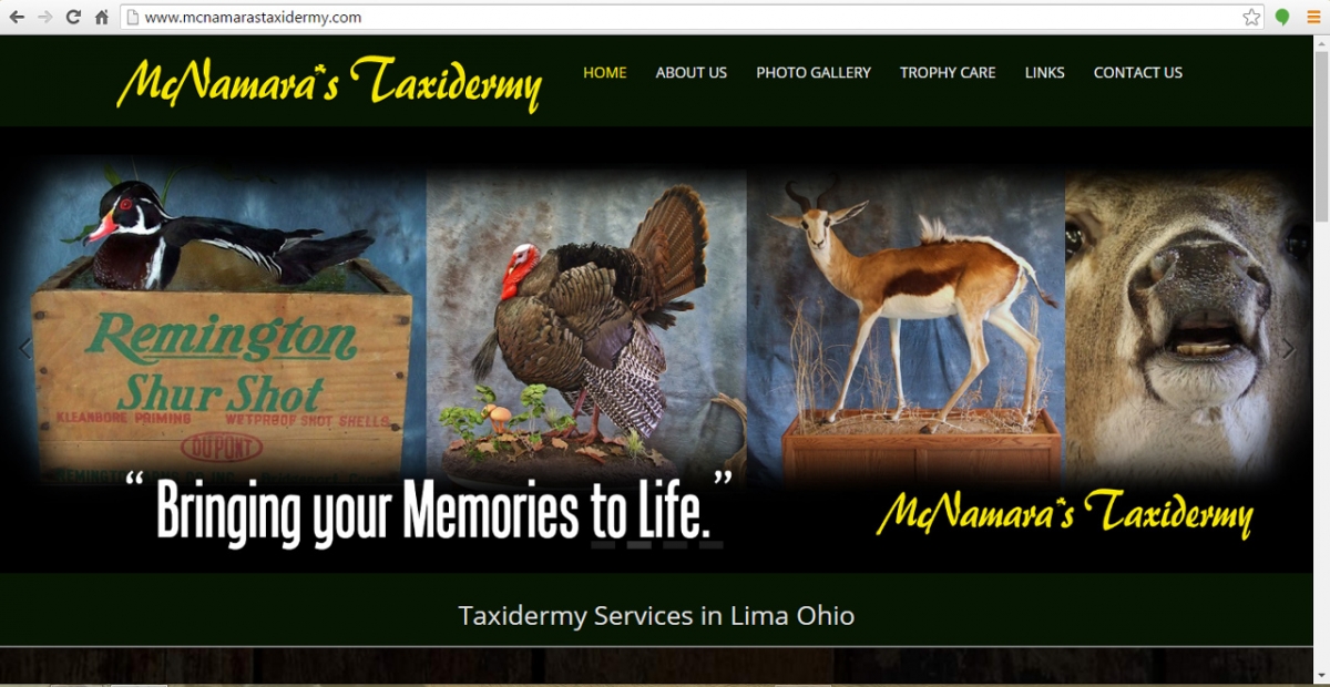 Lima, Ohio Taxidermy Web Design