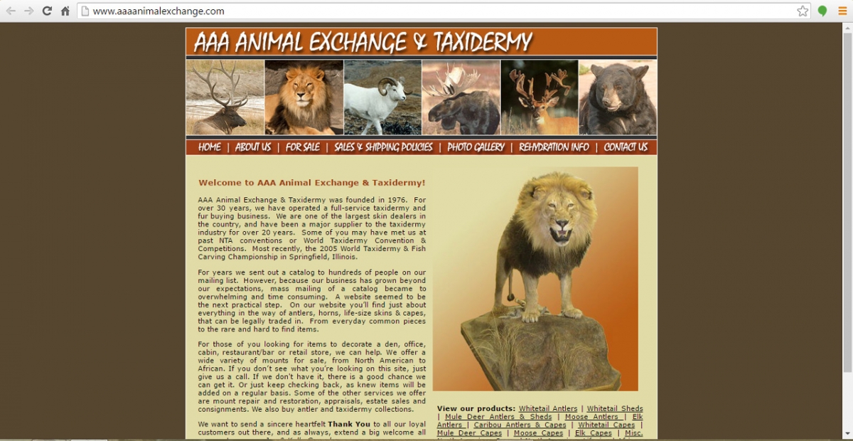 Morgantown, Indiana Taxidermy Web Design