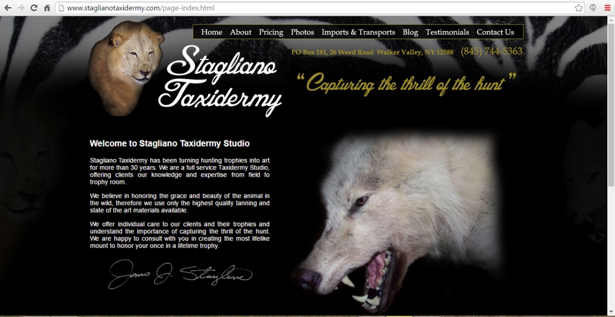 Walker Valley, New York Taxidermy Web Design