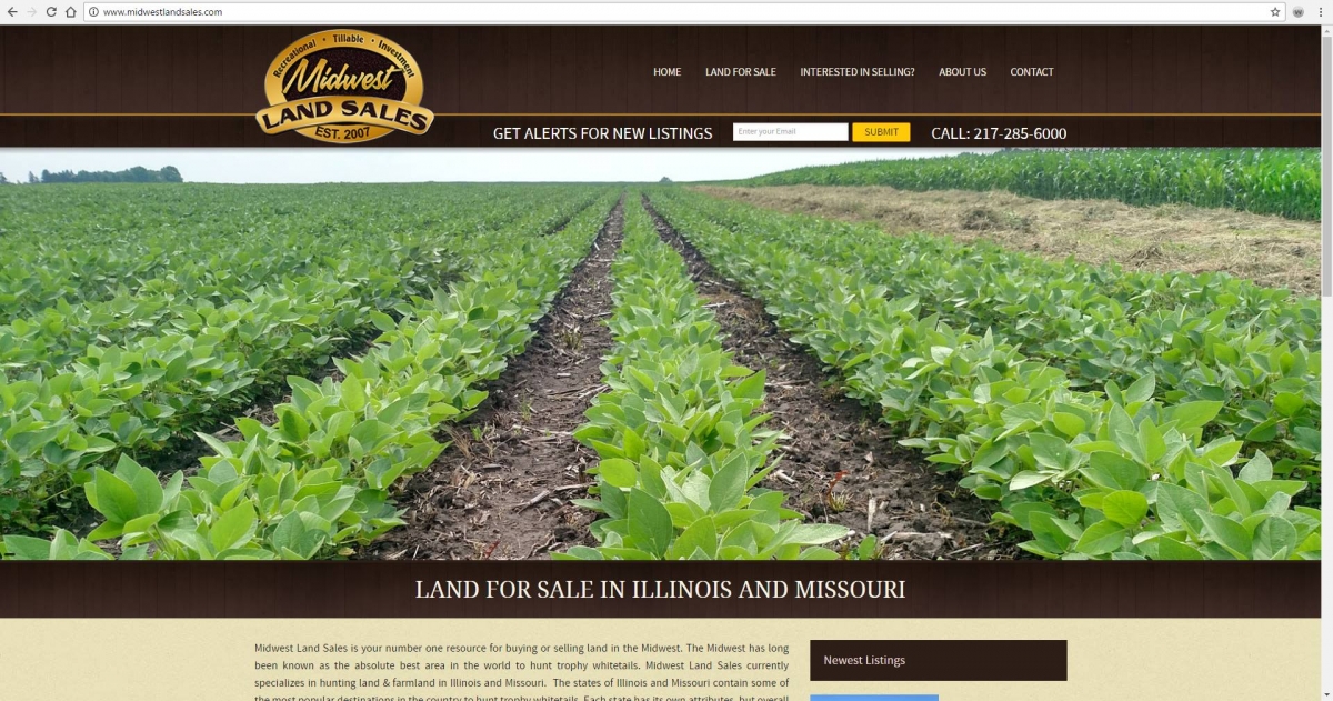 Real Estate Website Design in Illinois