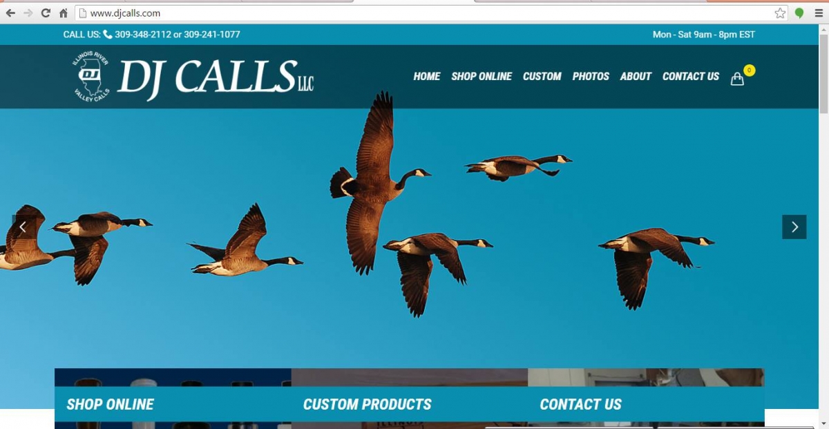 Pekin, Illinois Website Design