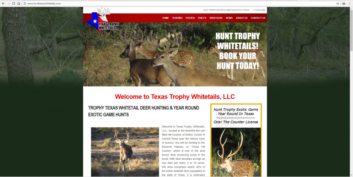 Sonora, Texas Website Design
