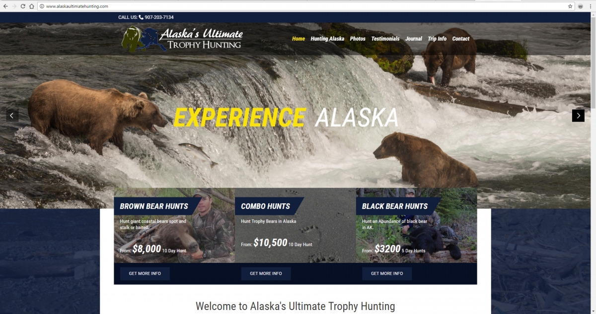 Alaska Guide Websites