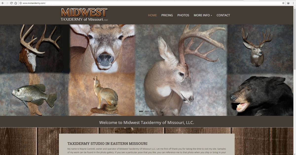 Troy, Missouri Taxidermy Web Design