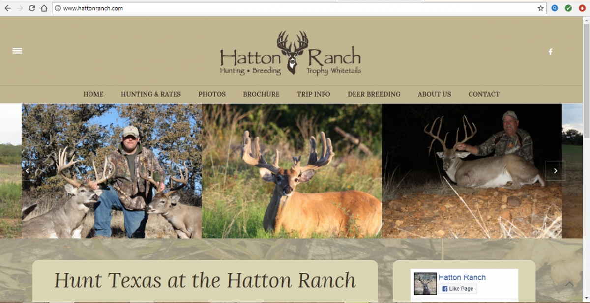 Allen, Texas Hunting Web Design