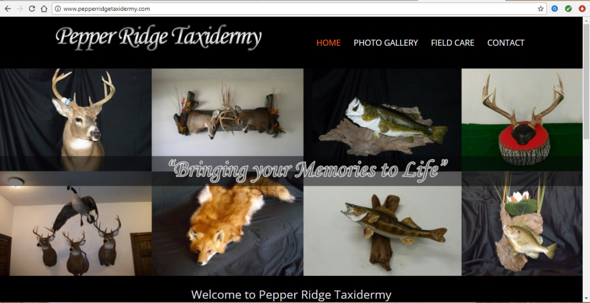 Bloomington, Illinois Taxidermy Web Design